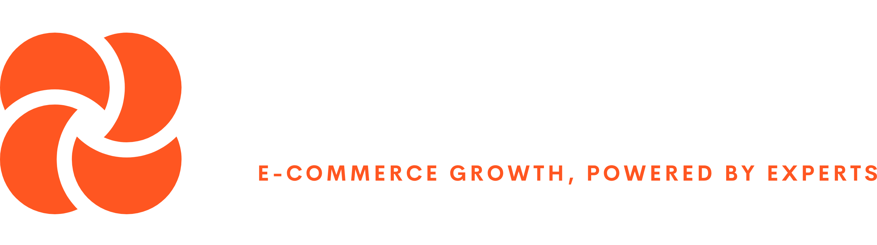 Scale It Co